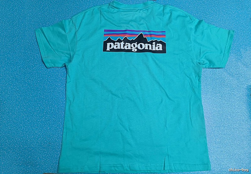 Patagonia Blue Logo T-Shirt Training Look Graphic